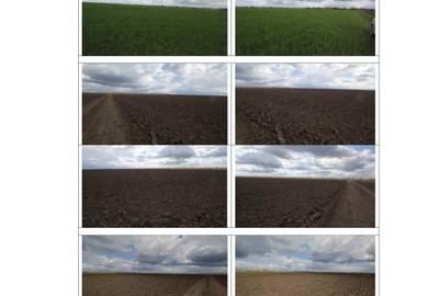 Teren agricol extravilan de 250512 mp, în Chevereșu Mare