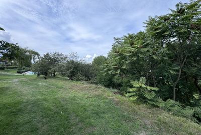 Hotel 25 camere 100 m deschidere DELTA DUNARII teren 12000 mp acces auto - 23