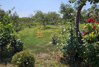 Casa tip parter + beci si teren 4684 mp in Candesti, Vernesti - 24