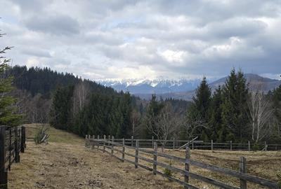 Teren intravilan construibil Brasov Bran  Poarta utilitati vedere spre munti - 11