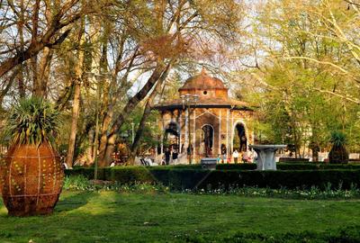 Lot 8 Parcele Intravilan | Oras Buzias | Oportunitate investitie - 9