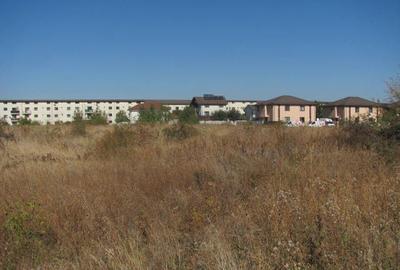 Prelungirea Ghencea Iernii - 4