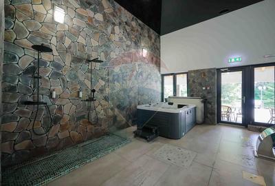 Hotel-Spa-Restaurant nou de Vânzare, 26 Camere, în Padiș, - 29