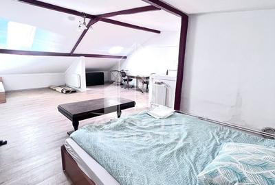Apartament 1 camera,mansarda, de inchiriat, zona Dambovita,Timisoara - 2