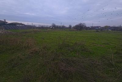 Teren intravilan 509 mp Techirghiol - 4