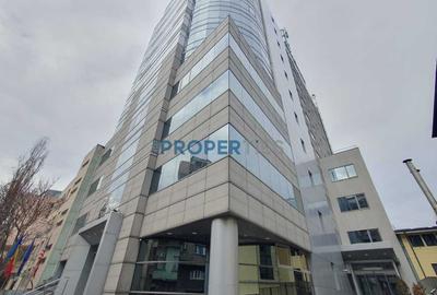 Birou, 1152 mp în Cișmigiu