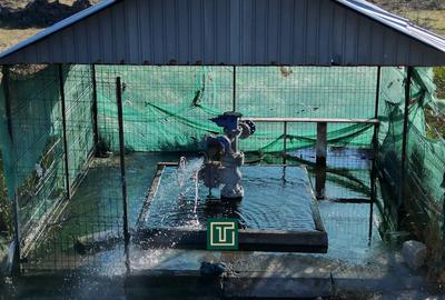 PUT GEOTERMAL NATURAL PE UN TEREN DE 36.476 MP IN SOCODOR, ARAD - 1