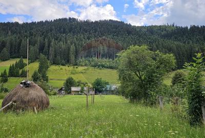 Casa 225 mp, teren intravilan 4822 mp C. Moldovenesc, Suceava - 7