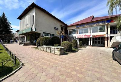 Spatiu comercial Tg. Neamt centru, 48mp, aproape de Catena - 9