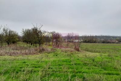 BARCANESTI -  casa +curte+teren 16k mp - 12