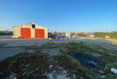 Teren intravilan 21. 700 mp, ideal dezvoltare imobiliara - 8