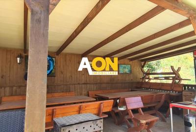 Vila pretabila pensiune + restaurant,  10 camere,  1000MP teren - 29