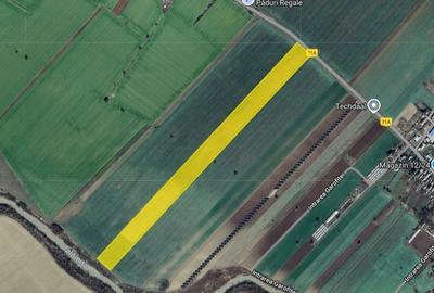 Cel mai bun pret! 1.5 ha, lot teren localitatea Nuci, Ilfov - 3