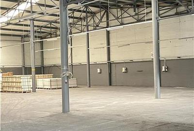 Inchiriere Hală Industrială in Brazi - 4