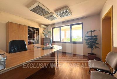 Spatiu de birouri | P + 2E | 254 mp | 10 camere | Parcare | Cetate - 3