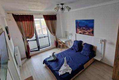 GARSONIERA- PARCUL CAROL, PET-FRIENDLY, CENTRALA PROPRIE, BLOC NOU - 1