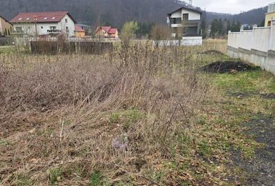 Teren intravilan intre case în Bunloc, lângă pădure – 604 mp - 4