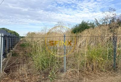 Teren 3905 mp Manasia, pozitie la drum judetean - 3