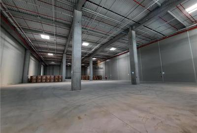 Spatiu Industrial - 3000 mp - Logistica - Depozitare - Distributie - 2