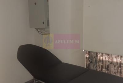 Spatiu Comercial Stradal Șoseaua Colentina zona Teiul Doamnei Suveica - 47