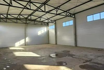 Spațiu industrial, 596 mp în Sud