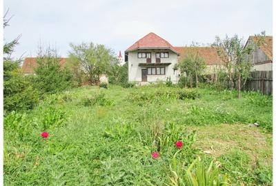 Casa deosebita cu gradina generoasa Vladeni - 5