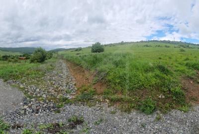 Teren Construcții intravilan de 924 mp, în Sălicea