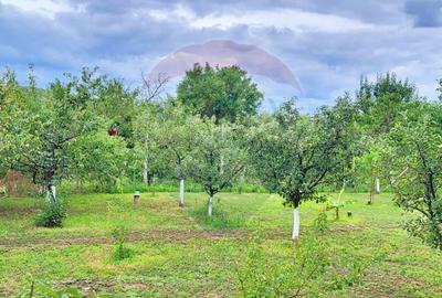 Casă 3 camere de vânzare în Miniș, jud. Arad - 4