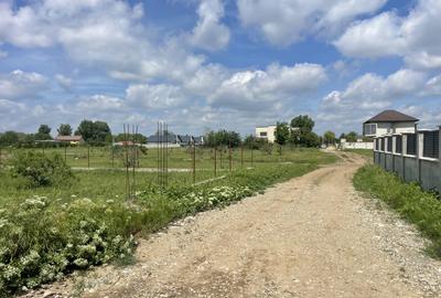 Domnești, Str Teiului, teren 1500mp, 40ml deschidere, utilități. - 3