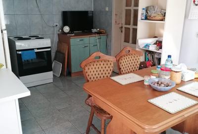 Singureni Stejaru casa intre paduri, cu teren 1600mp - 13