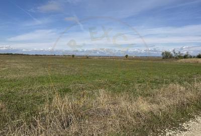 Teren intravilan 3700 mp la 28 km de Pitesti  - zona linistita - 1