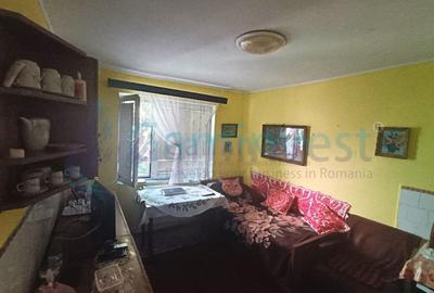 Doua case de vanzare in zona strazii Izvorului, Oradea, Bihor - 12