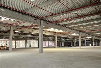 Spatiu Industrial - 9500 mp - Logistica - Productie - Depozitare - Distributie - 11