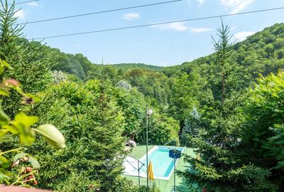 Vanzare vila-pensiune D+P+M 10 camere de vânzare, Daesti jud. Valcea - 60