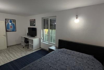 Casă + spațiu comercial de vânzare – proprietar persoană fizică – teren - 13