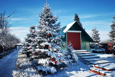 Casă individuală cu 6 camere în Snagov