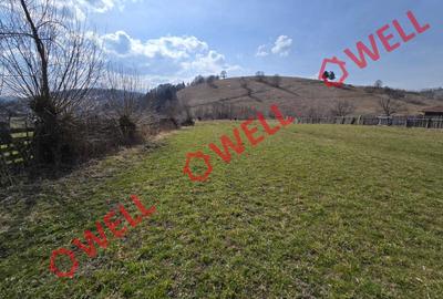 Teren de vânzare în Sita Buzăului! - 7