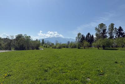Teren intravilan  intre 500 si 1000 mp cu vedere panoramica   zona  Tohanita - 4