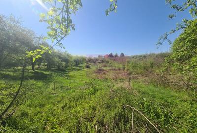 Teren de vanzare in Campina in zona retrasa - 6
