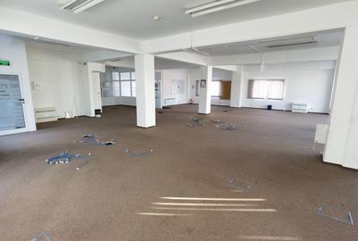 Spatii birouri/servicii - 12