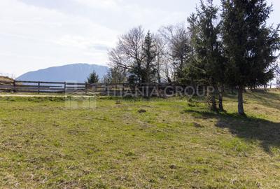 🌿 Teren Intravilan 3.791 mp | Priveliște Panoramică Superbă | Poiana Mărului - 26