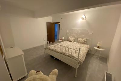 Închiriere demisol – Dorobanți (zona Școala Floreasca) - 4