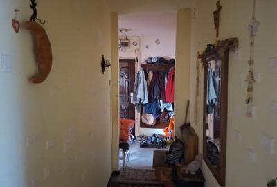 De vanzare apartament cu 3 camere in Dambu - 5