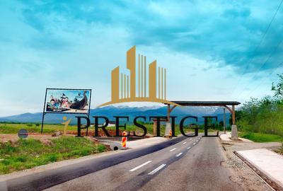 Teren Valea Avrigului – 1.000 mp | 1 km Dino Park | 25 €/mp - 1