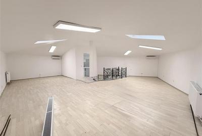 Vila moderna de inchiriat - 250 mp + 100 mp curte-Podul Grant - 7
