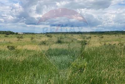 DE VANZARE Teren intravilan 600mp Drumul Piscul Mosului SISESTI - 13
