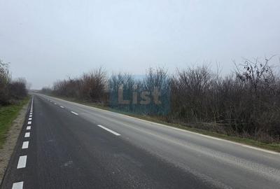 Teren 3000 mp dublu acces – vedere la Dunăre - 7