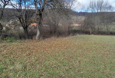 Teren Intravilan Ideal Pt Casa de Vacanta ,Valea Dobarlaului - 3