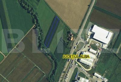 Teren Construcții intravilan de 3000 mp, în Galda de Jos