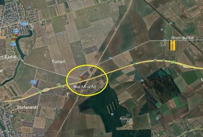 Vânzare teren intravilan 65.000 mp – Caciulati - 2